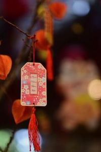 nạp rút nhanh Nohu